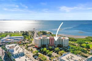 101 BAYSHORE BOULEVARD, SAFETY HARBOR, FL 34695 Sold 10/15/24