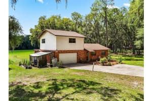 1811 MARTIN ROAD, DOVER, FL 33527 - MLS#MFRU8243913