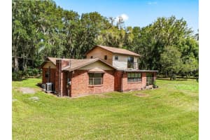 1811 MARTIN ROAD, DOVER, FL 33527 - MLS#MFRU8243913