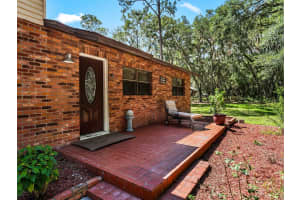 1811 MARTIN ROAD, DOVER, FL 33527 - MLS#MFRU8243913