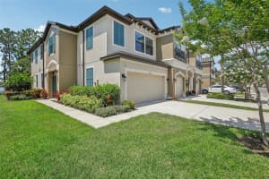 11402 CROWNED SPARROW LANE, TAMPA, FL 33626 Sold 10/22/24