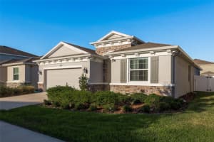 10919 KIDRON VALLEY LANE, TAMPA, FL 33625 Sold 07/26/24