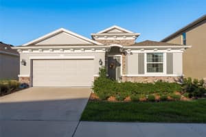 10919 KIDRON VALLEY LANE, TAMPA, FL 33625 Sold 07/26/24