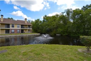 8709 FANCY FINCH DRIVE, TAMPA, FL 33614 Sold 06/05/24