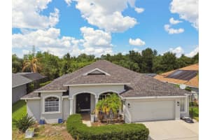 2117 LARKSPUR COURT, TRINITY, FL 34655 Sold 10/01/24