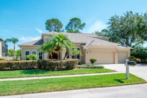 21655 CORMORANT COVE DRIVE, LAND O LAKES, FL 34637 Sold 08/02/24