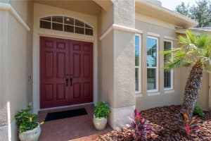 21655 CORMORANT COVE DRIVE, LAND O LAKES, FL 34637 Sold 08/02/24