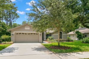 1201 WILLOWICK CIRCLE, SAFETY HARBOR, FL 34695 Sold 01/22/25