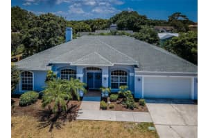 1032 ROSETREE LANE, TARPON SPRINGS, FL 34689 Sold 08/23/25