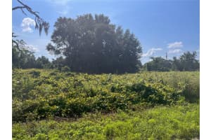 1037 REDBIRD STREET, LAKE PLACID, FL 33852 Sold 09/20/24
