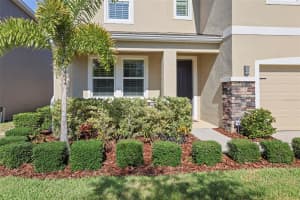 12517 CANDLEBERRY CIRCLE, TAMPA, FL 33635 Sold 12/04/24