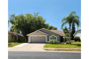 10336 PINENEEDLES DRIVE, NEW PORT RICHEY, FL 34654 Sold 07/03/24