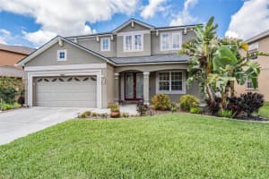 17824 AYRSHIRE BOULEVARD, LAND O LAKES, FL 34638 Sold 11/25/24