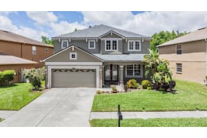 17824 AYRSHIRE BOULEVARD, LAND O LAKES, FL 34638 Sold 11/25/24