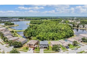 17824 AYRSHIRE BOULEVARD, LAND O LAKES, FL 34638 Sold 11/25/24