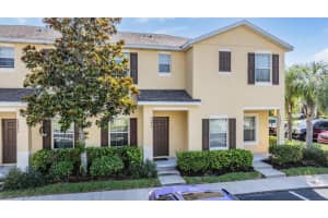 20423 NEEDLETREE DRIVE, TAMPA, FL 33647 Sold 07/26/24