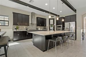 21975 AMELIA ROSE WAY, LAND O LAKES, FL 34637 Sold 11/25/24