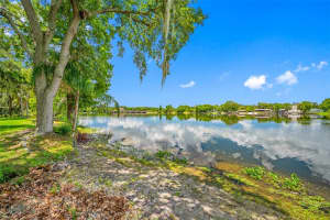 7194 BANK DRIVE, TAMPA, FL 33617 Sold 12/02/24