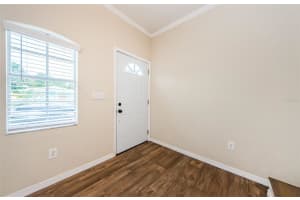 49 BOYER STREET, TARPON SPRINGS, FL 34689 - MLS#MFRU8245664