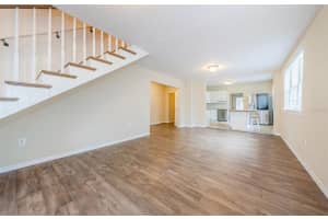 49 BOYER STREET, TARPON SPRINGS, FL 34689 - MLS#MFRU8245664