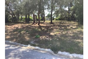 18657 WHITE PINE CIRCLE, HUDSON, FL 34667 - MLS#MFRU8245764
