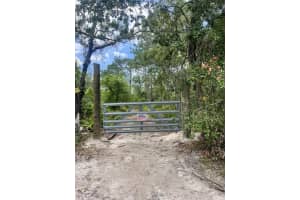 10128 SUNCOAST BOULEVARD, HOMOSASSA, FL 34446 - MLS#MFRU8245809