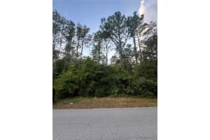 0 DREW STREET, BROOKSVILLE, FL 34604 Sold 10/31/24