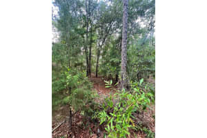 0 DREW STREET, BROOKSVILLE, FL 34604 Sold 10/31/24