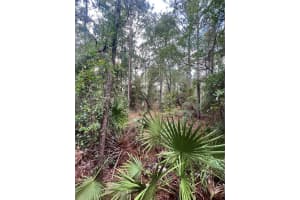 0 DREW STREET, BROOKSVILLE, FL 34604 Sold 10/31/24
