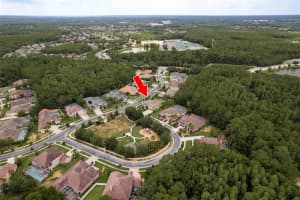 27922 BOREAL LOOP, WESLEY CHAPEL, FL 33544 Sold 12/18/24