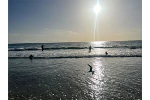 1460 GULF BOULEVARD, CLEARWATER BEACH, FL 33767 Sold 02/17/25