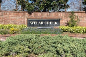 10310 GREYSTONE RIDGE COURT, RIVERVIEW, FL 33578 Sold 07/03/24