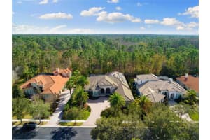 2611 HAWKS LANDING BOULEVARD, PALM HARBOR, FL 34685 Sold 08/06/24