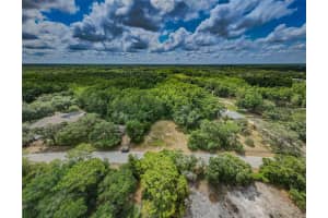 10086 HILLTOP DRIVE, NEW PORT RICHEY, FL 34654 - MLS#MFRU8246228