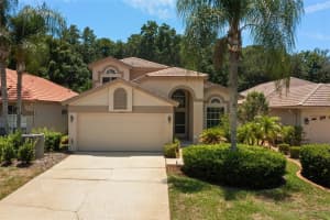 1242 LINDENWOOD DRIVE, TARPON SPRINGS, FL 34688 Sold 12/27/24