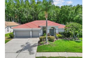 3181 STERLING STREET, TARPON SPRINGS, FL 34688 Sold 01/24/25