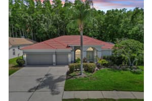 3181 STERLING STREET, TARPON SPRINGS, FL 34688 Sold 01/24/25
