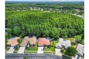 3181 STERLING STREET, TARPON SPRINGS, FL 34688 Sold 01/24/25