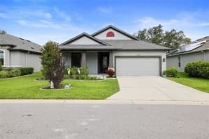 13364 SEA BRIDGE DRIVE, HUDSON, FL 34669 Sold 08/09/24