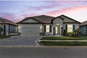 9735 IBIS GROVE BOULEVARD, WESLEY CHAPEL, FL 33545 Sold 09/09/24