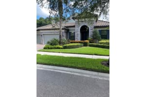 1445 VIA VERDI DRIVE, PALM HARBOR, FL 34683 Sold 12/27/24