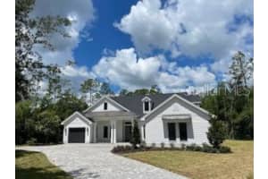 17712 ROYAL EAGLE LANE, LUTZ, FL 33549 Sold 10/24/24
