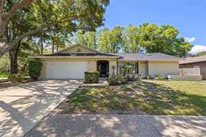 3107 BLUE HERON STREET, SAFETY HARBOR, FL 34695 Sold 09/16/24