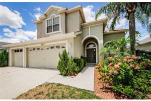 12039 MOUNTBATTEN DRIVE, TAMPA, FL 33626 Sold 12/30/24