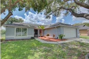 11614 WELLMAN DRIVE, RIVERVIEW, FL 33578 Sold 10/25/24