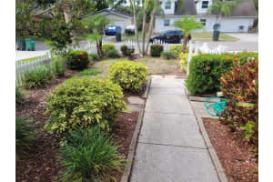 743 6TH STREET, SAFETY HARBOR, FL 34695 Sold 12/23/24