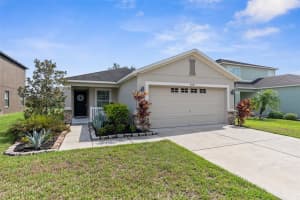 4241 WARWICK HILLS DRIVE, WESLEY CHAPEL, FL 33543 Sold 07/22/24