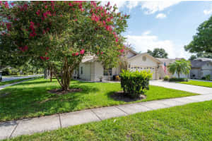 2591 NORTHFIELD LANE, CLEARWATER, FL 33761 Sold 09/30/24