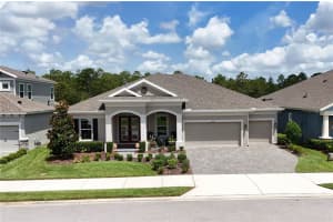 4201 WOODLAND RETREAT BOULEVARD, NEW PORT RICHEY, FL 34655 Sold 10/28/24