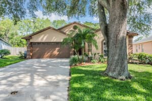 11141 INDIAN OAKS DRIVE, TAMPA, FL 33625 Sold 07/30/24
